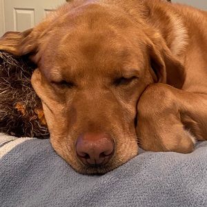 Meet your Posher, Beth